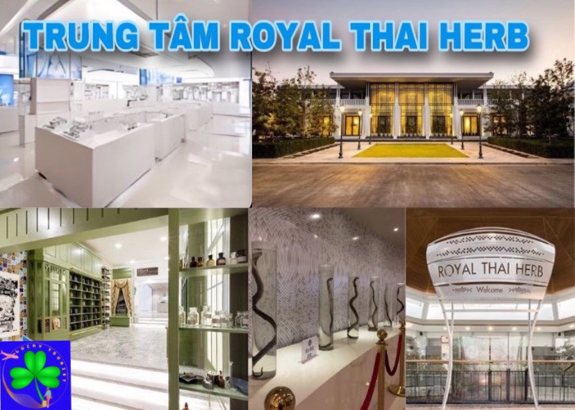 trung-tam-royal-thai-herb
