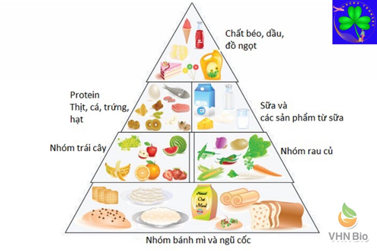 cac-chat-dinh-duong