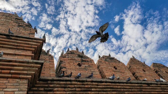cong-thanh-Tha-Phae-Gate-Chiang-Mai-du-lich-de-men-vn-1400x788