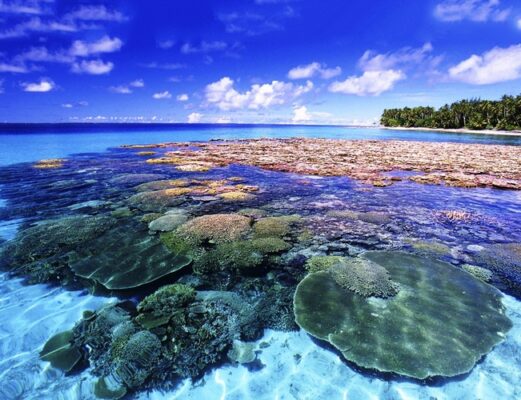 Hành Trình Tham Quan Thái Lan Bangkok - Pattaya. 8 Koh-Larn-1-tuor-bangkok-pattaya